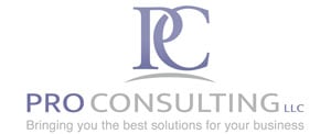 Pro Consulting LLC